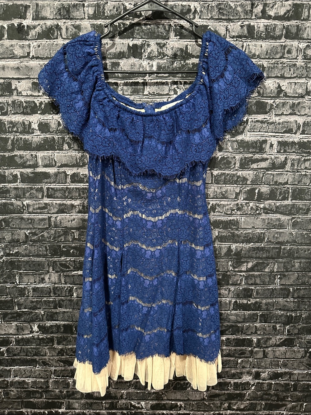 Francesca's Navy Lace Dress with Cream Lining